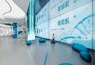 长春新阳光玫瑰葡萄苗的价格