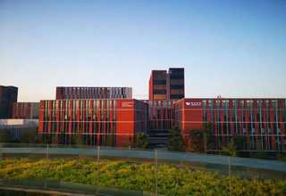 徐汇区有机盆栽菜基地价格