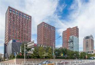 拱墅区花卉服务价格