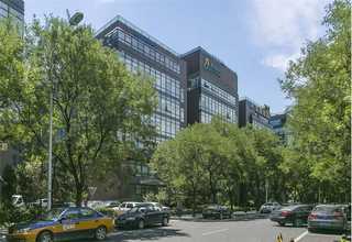 珲春凤仙花价格